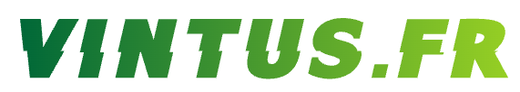 vintus.fr-Adult Media